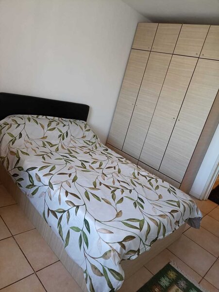 Colentina, Doamna Ghica